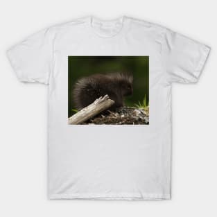 Baby Porcupine T-Shirt